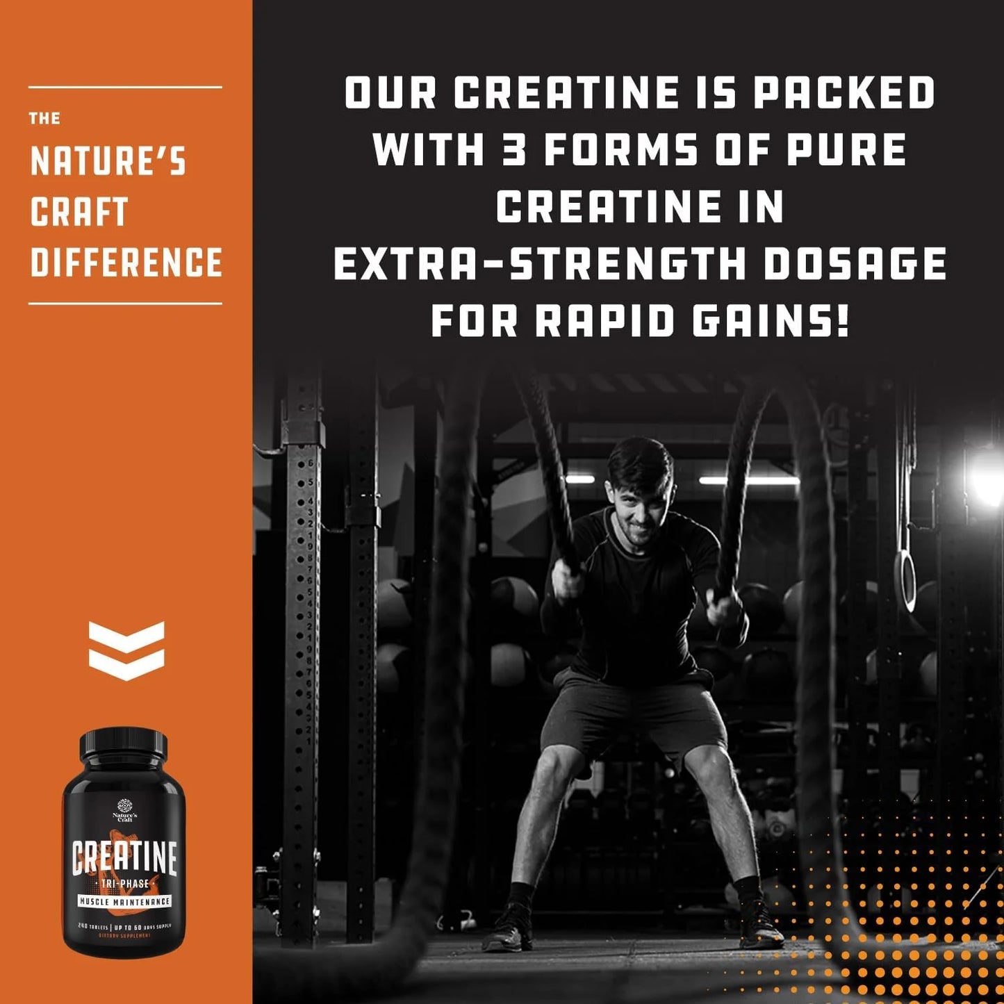 Tri-Phase Creatine Supplement for Muscle Recovery & Muscle Building, 240Ct